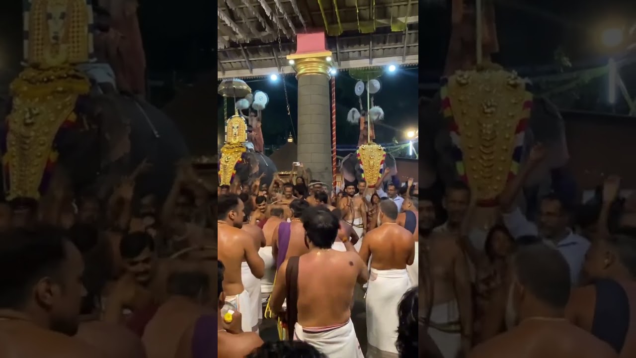 അഴകിയകാവിലമ്മയുടെ പകൽപൂരം🔥#elephant #shorts #shortsfeed #shortvideo #trending #love #viralvideos