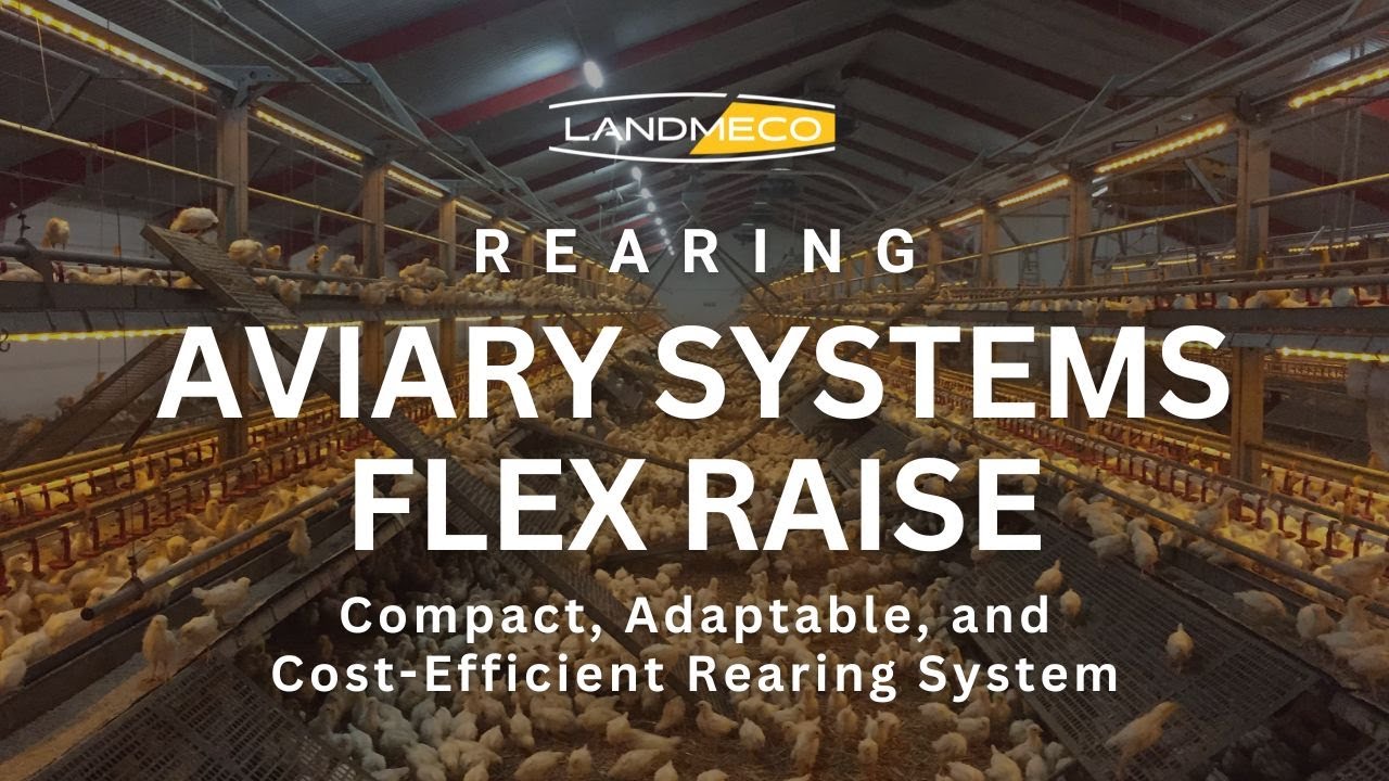 LANDMECO Flex Raise Poultry Rearing System | Compact, Easy Cleaning & Better Welfare