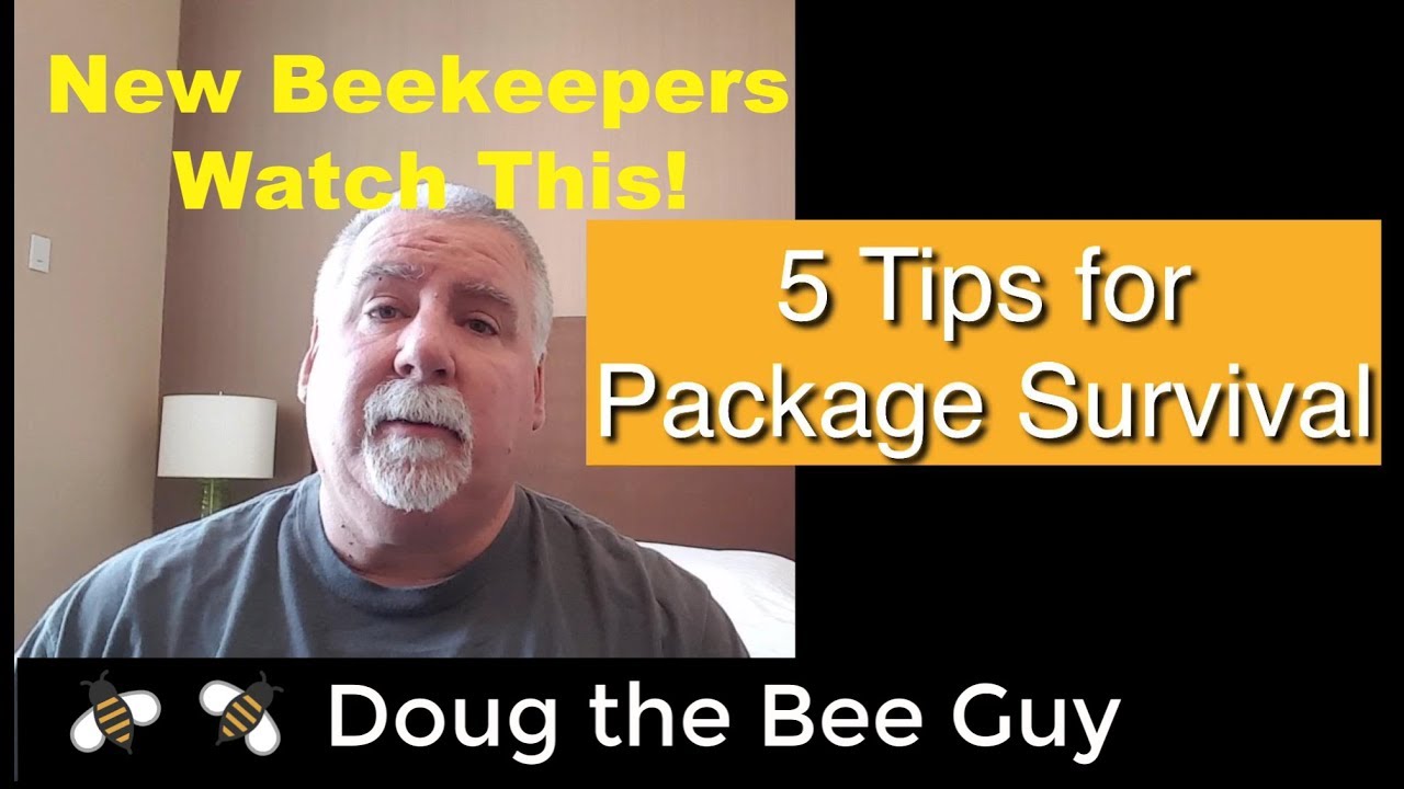 Installing Package Bees Survival Tips For the Beginner