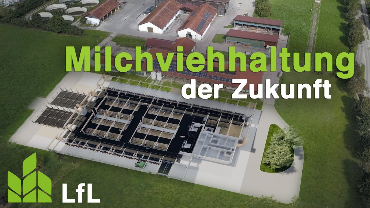 Forschung für die Milchviehhaltung der Zukunft