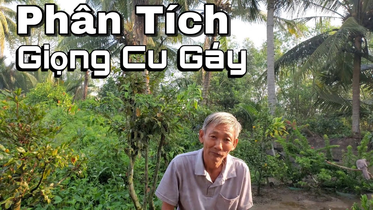 Út Diềm Phân Tích 3 Giọng Cu Gáy Tiểu - Thổ - Sấm