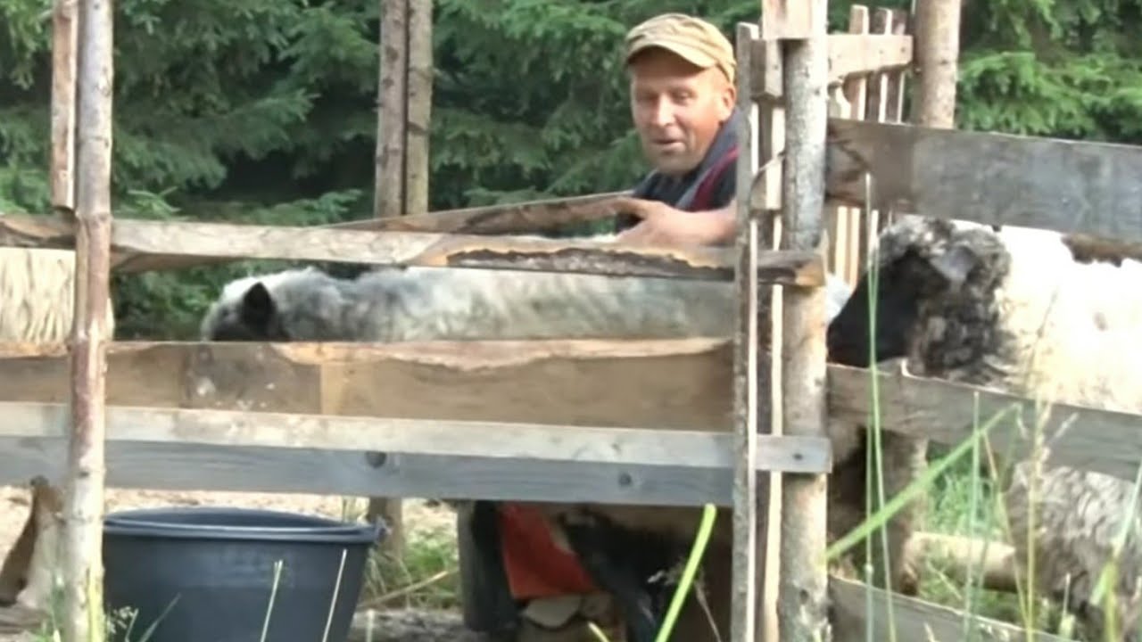 OVČAR LOZIĆ ŽIVI KAO NOMAD DA BI PREHRANIO OBITELJ