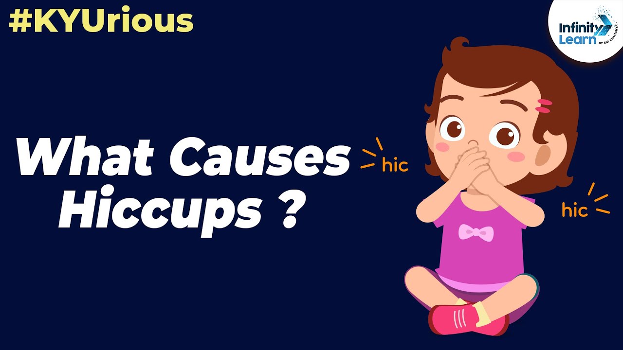 KYU Box Season 3 | Qpisode 6 | What causes Hiccups? | Don't Memorise