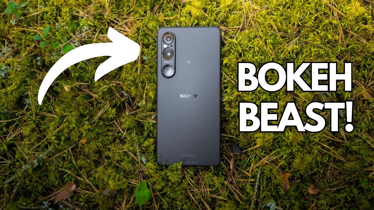 Xperia 1 VI в полевых условиях — тест на фотосъёмку природы