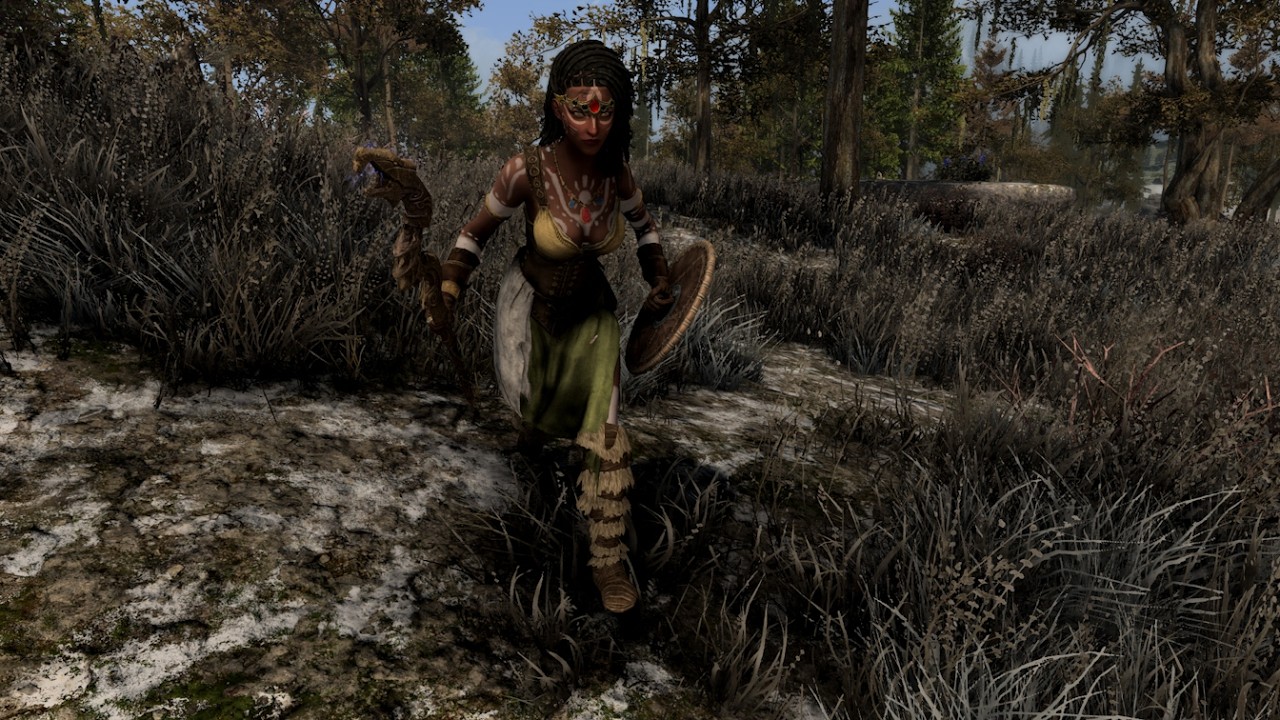 Priestess of Tava - Skyrim Anniversary Edition Build