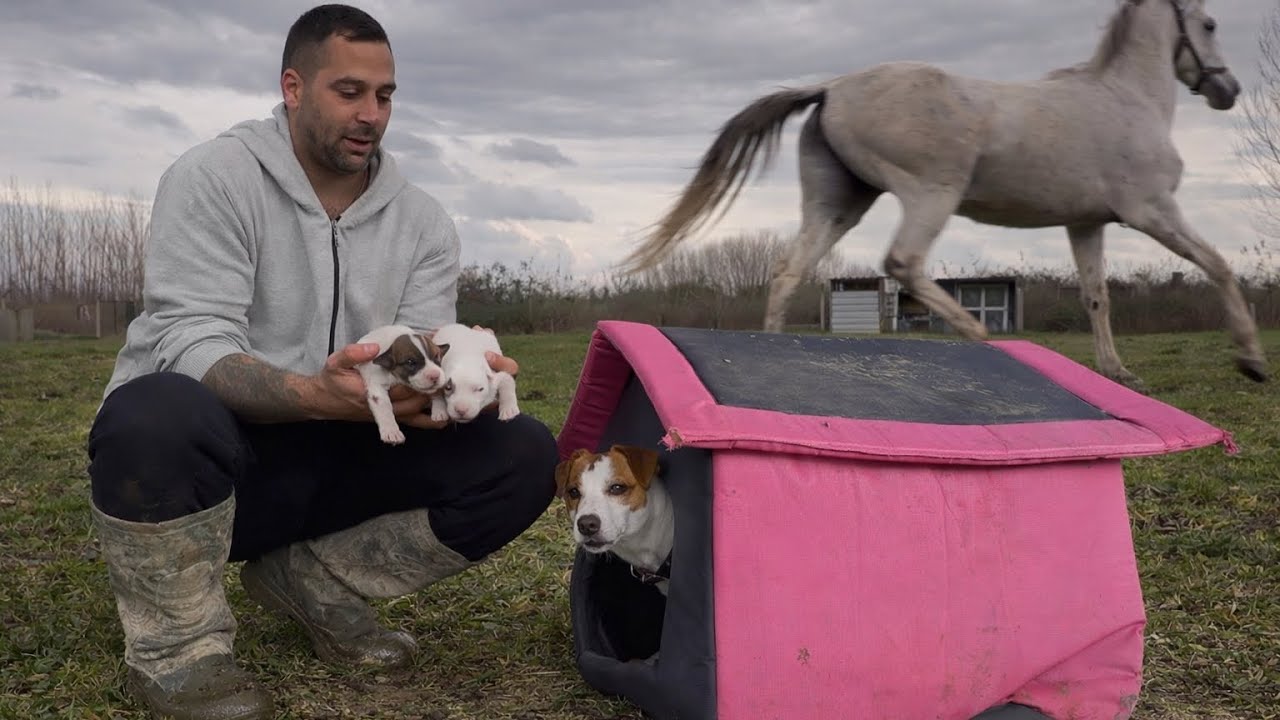 BÜLBÜLLER YUMURTLADI AKYEL ANTRENMANDA ÇİFTLİKTE DURUMLAR