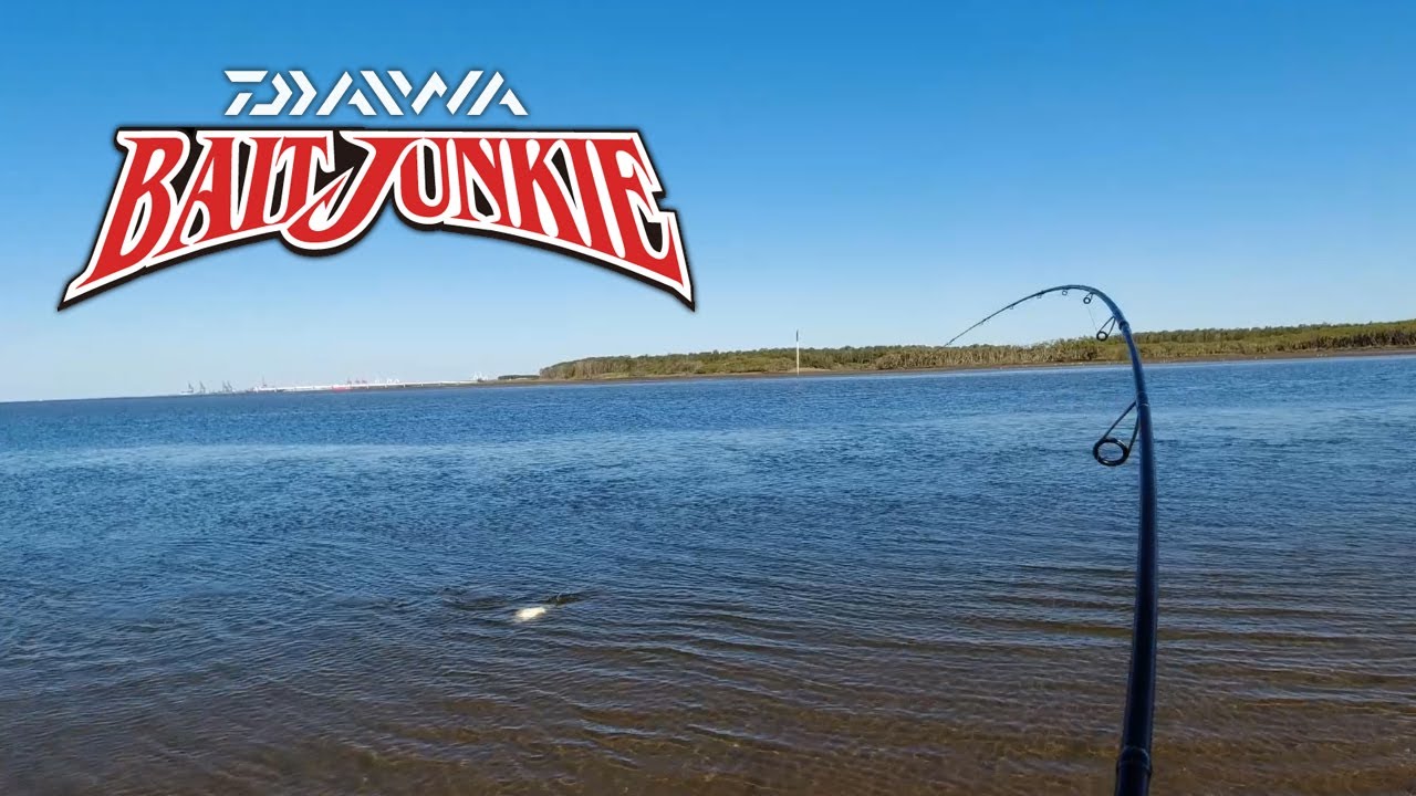 Ловля леща на приманку Daiwa Bait Junkie Minnow - пляж Наджи, Брисбен