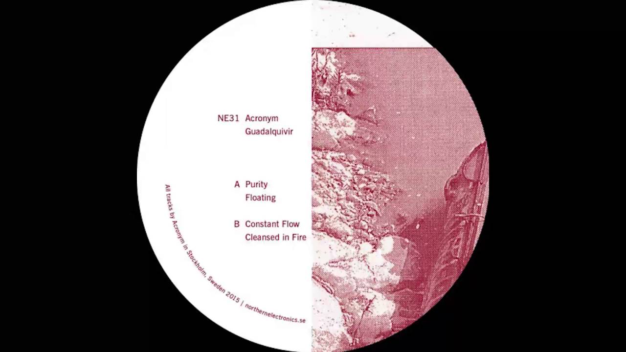 Acronym - Cleansed in Fire [NE31]