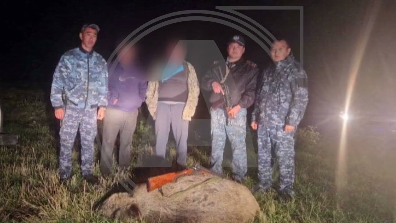 Полтора миллиона заплатят жители Костанайской области, которые застрелили дикого кабана