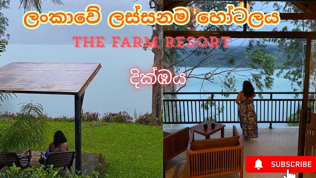 ලංකාවේ ලස්සනම හෝටලය THE FARM RESORT DICKOYA❤️❤️❤️