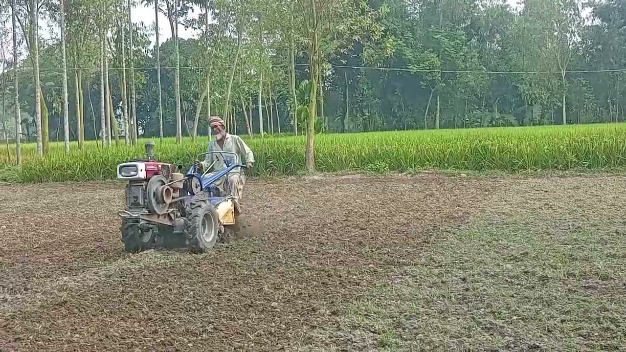 রঙের মানুষ,,   কৃষকের ব্যস্ত সময় জমি পরিচর্যার কাজে