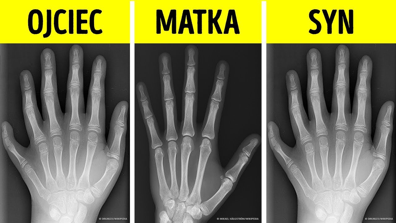 30 krótkich, przypadkowych ciekawostek, których na pewno się nie spodziewasz