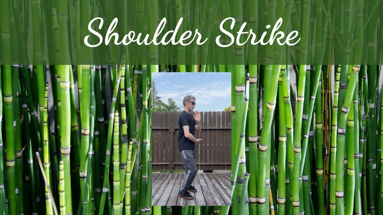 Tai Chi Tutorial - Shoulder Strike