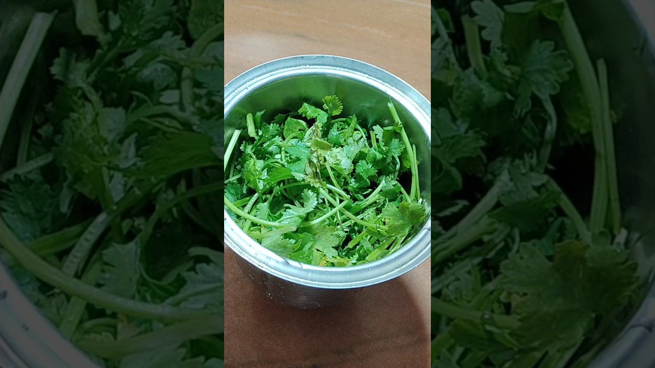 Iftar special green chutney😋 #ramadan  #shorts #tranding  #greenchutne#recipe