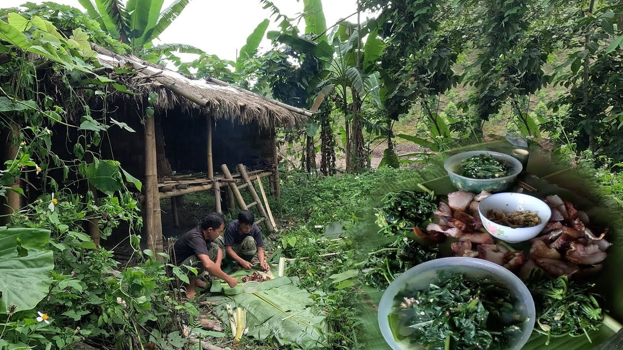 Hội ngộ đầy đủ trong ngôi nhà hoang, cuộc sống tự nhiên