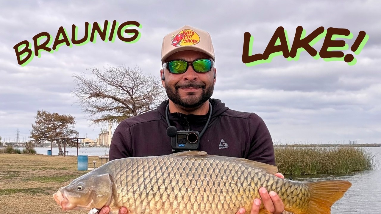 Big Carp Action at Braunig Lake