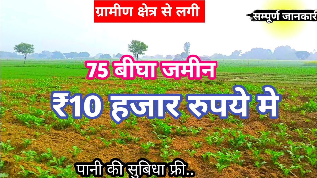 75.बीघा जमीन खरीदे मात्र ₹10 हजार प्रति बीघा में agricultur land for sale