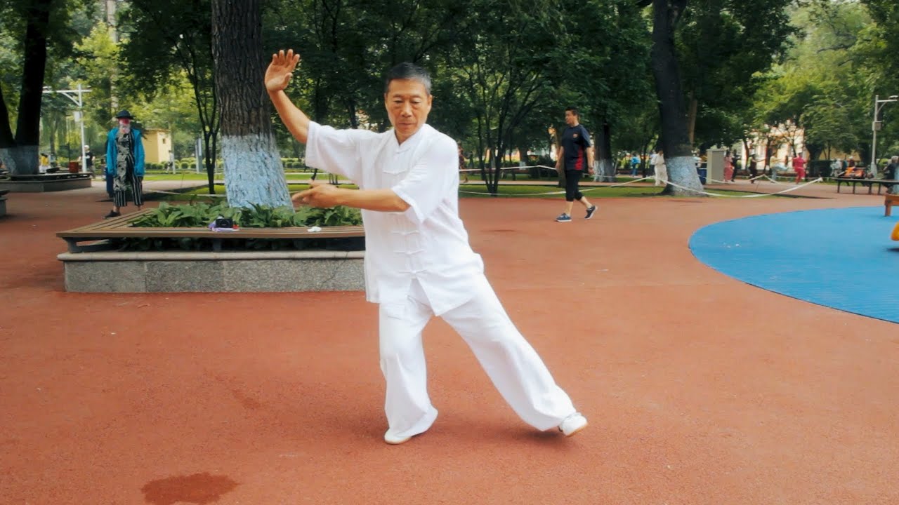 18 Forms (back view) Chen shi #TaiJiQuan #陈氏 #太极拳 -18式 - Чень ши #Тайцзицюань / Shifu in white 2019