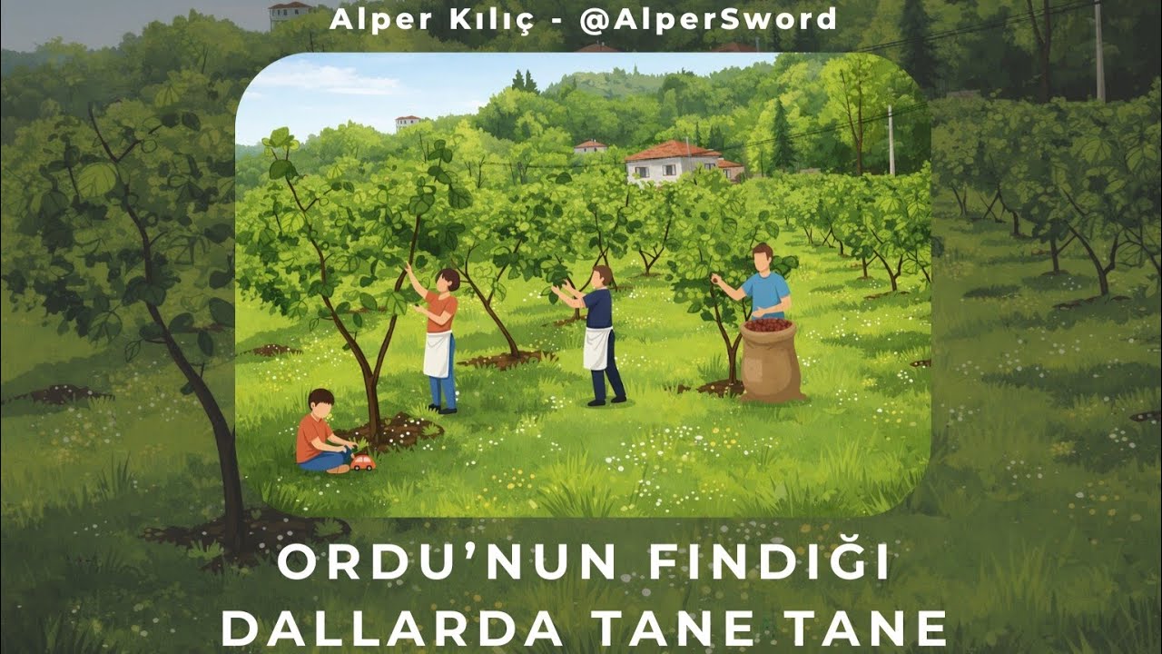 Ordu’nun Fındığı Dallarda Tane Tane (AI)