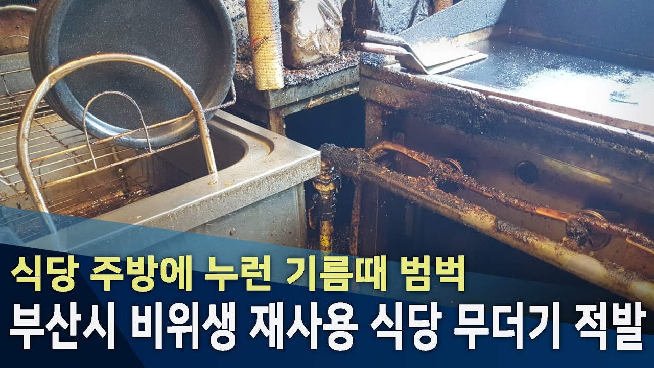 부산시 비위생 재사용 식당 무더기 적발