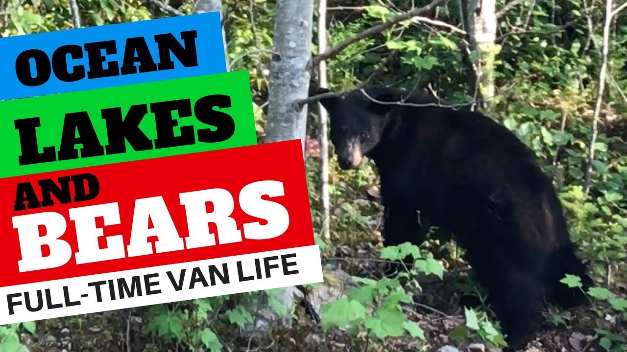 OCEAN LAKES n BEARS | Van life Rocks