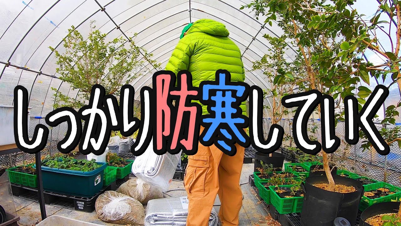 寒冷紗で寒さ対策