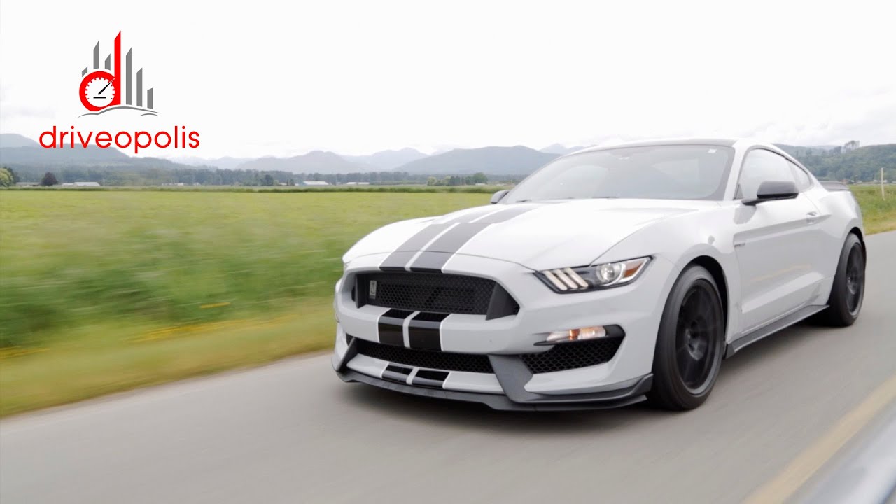 2016 Ford Shelby GT350 Review with Comparison to M2 GT4 driveopolis