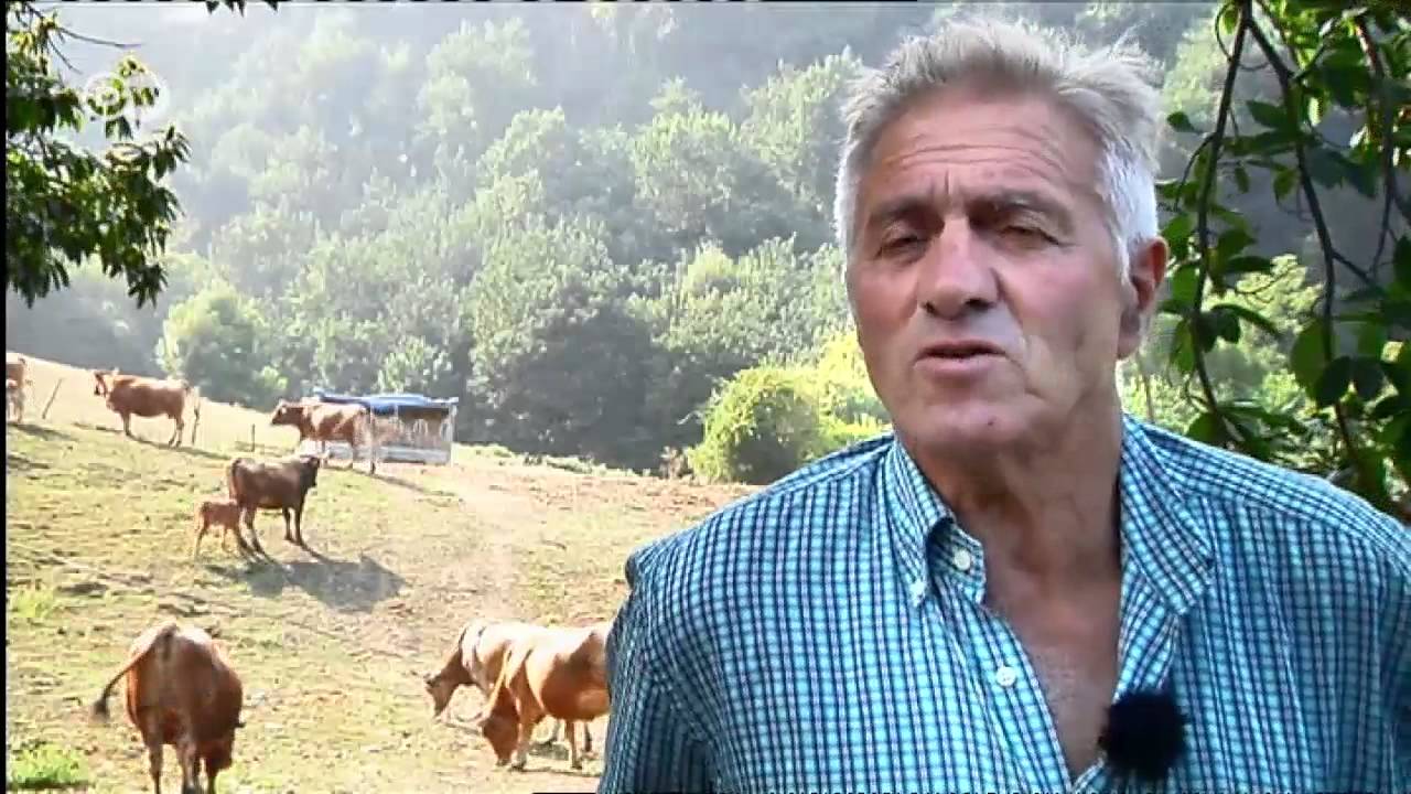 Spanien: Arbeiten bis zum Umfallen | Europa Aktuell