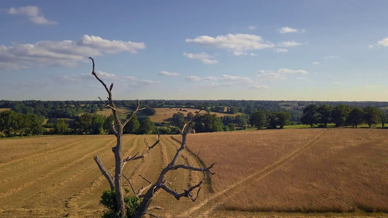 Pour une agriculture résiliente, s’adapter face au changement climatique - Bande annonce