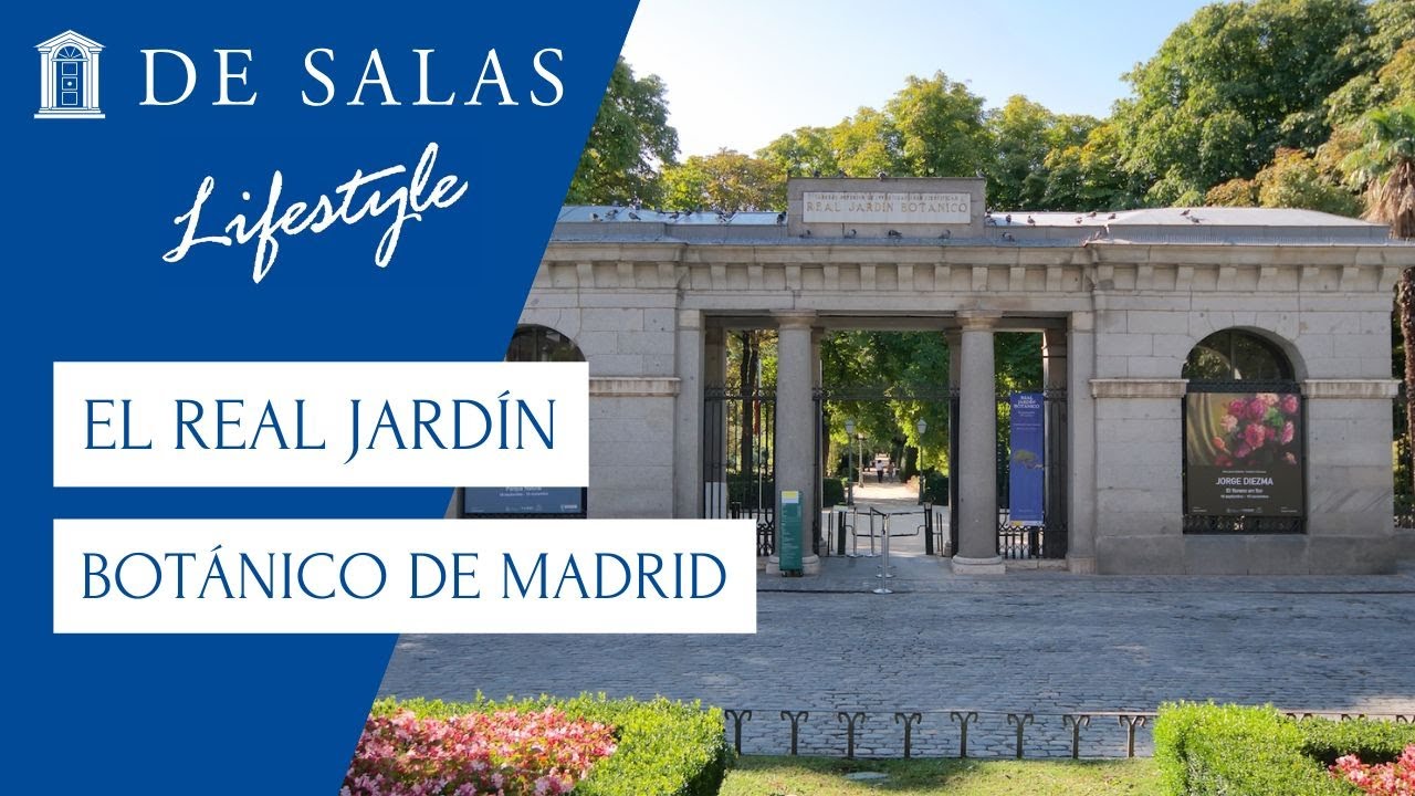 ¡Todo al verde! Descubre el Real Jardín Botánico de Madrid