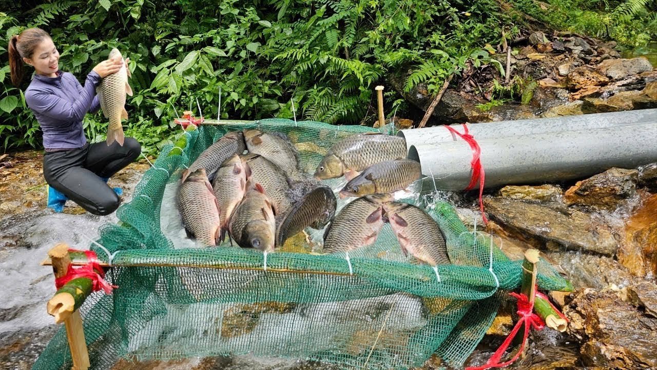 Girl fishing in the stream with PVC pipe. Luckily caught a lot of fish.