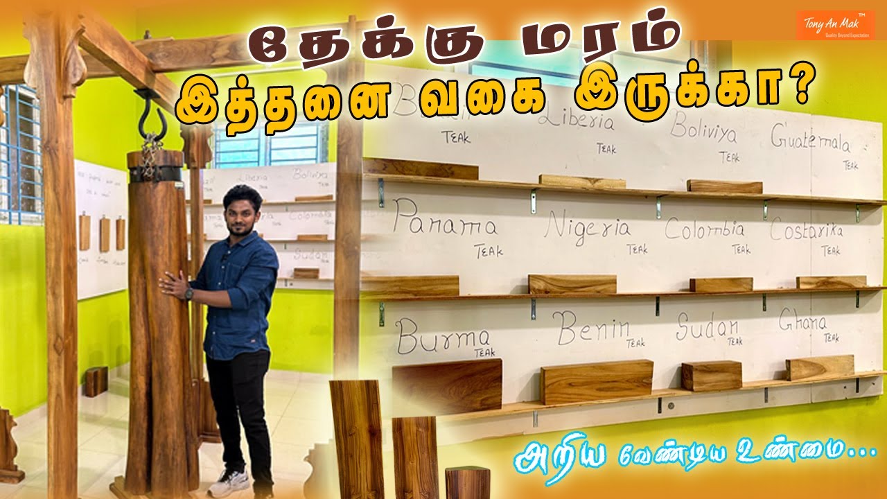 தேக்கு மரம் எத்தனை வகை இருக்கா |அறிந்து கொள்ள வேண்டிய உண்மை Tony An mak #teaktree#teakwood#treading