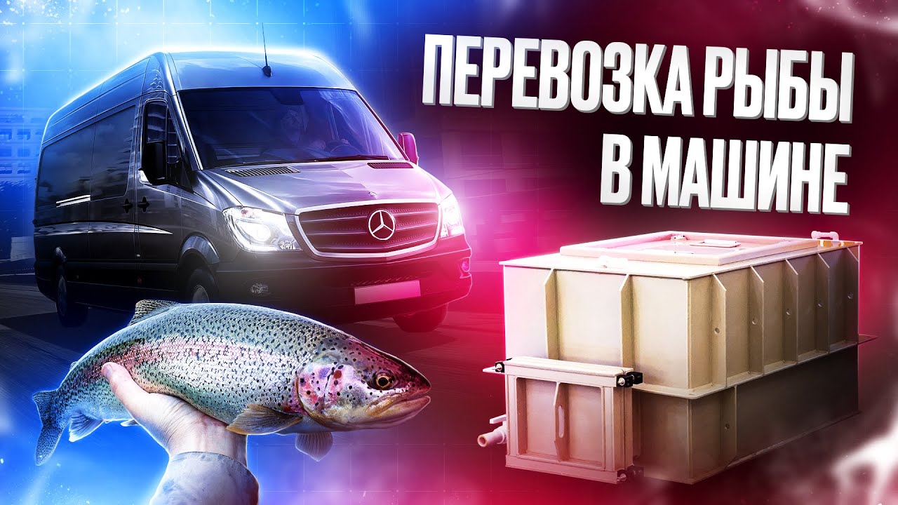 Емкость для перевозки живой рыбы 1000 литров (1 куб) в Mercedes Sprinter | MorePlast