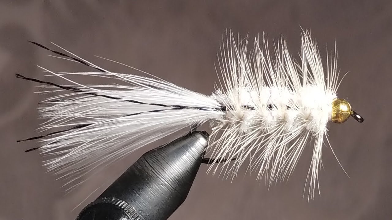 Hoot's Live Tie busting out Hoot's Tungsten Woolly Bugger