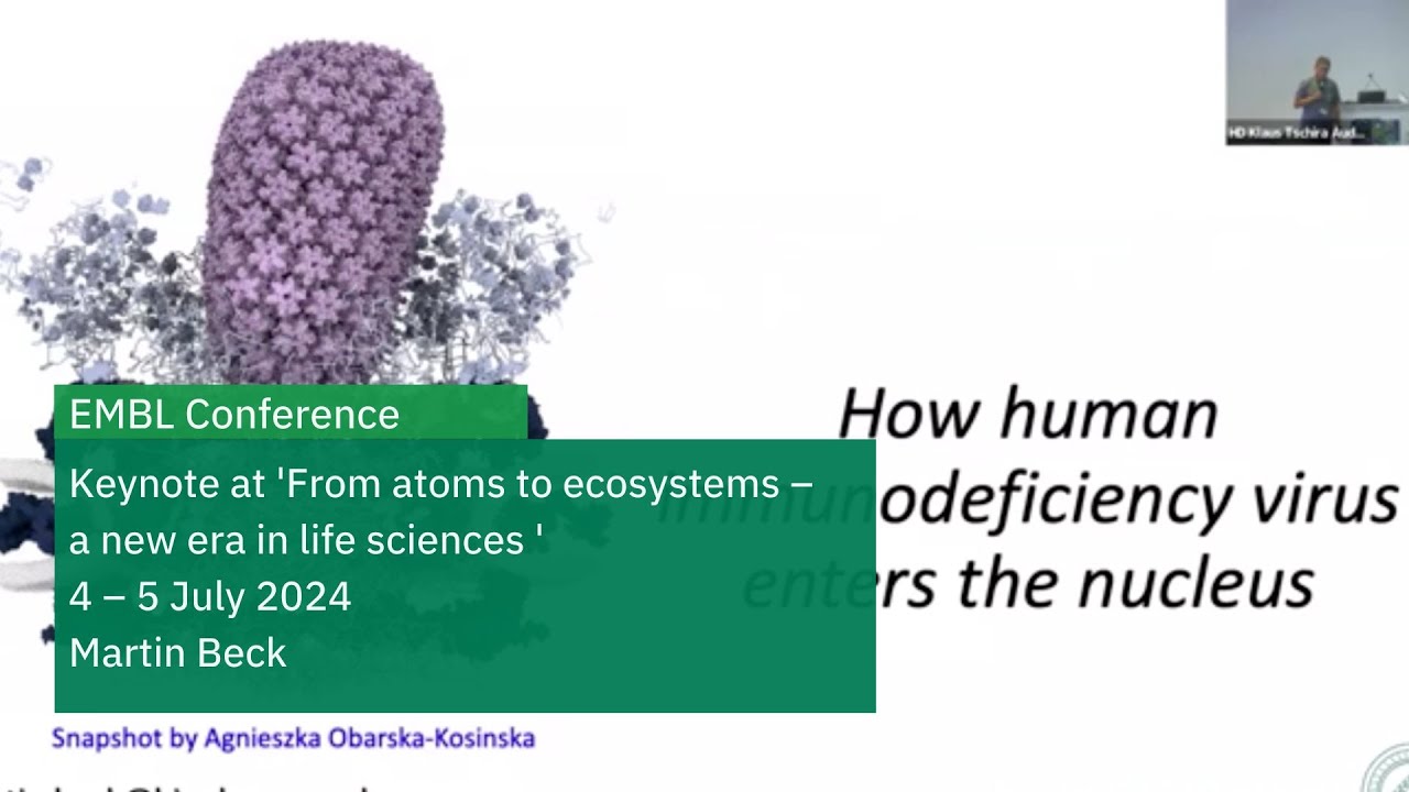 How human immunodeficiency virus enters the nucleus