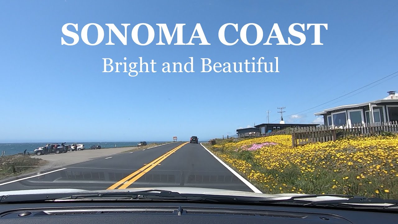 The Bright and Beautiful Sonoma Coast - A Drive from Bodega Bay to Jenner.