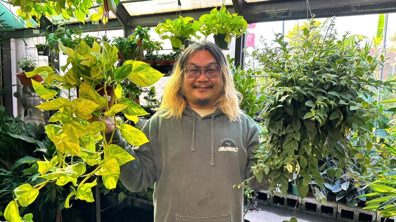 Where I Found Peace and Plant Shopping in Busy Los Angeles