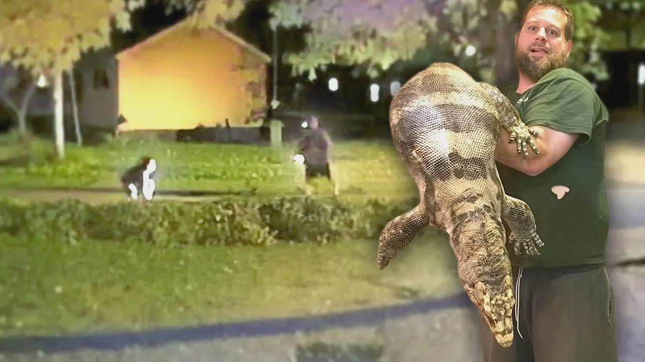 Mann bringt Sohn seiner Freundin wegen gestohlener Reptilien um