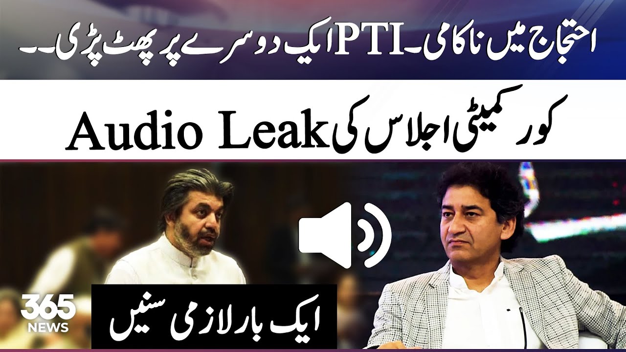 PTI protest | Ali Muhammad Khan's Audio Leaked | 365 News