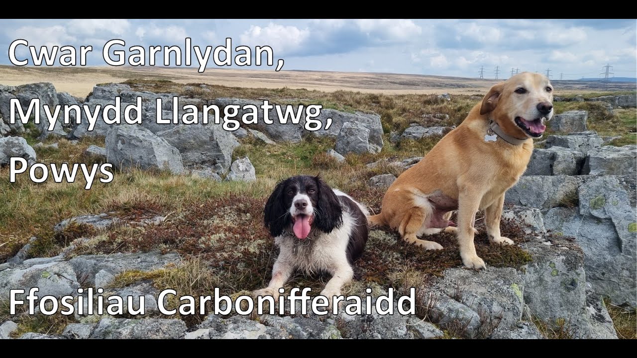 Garnlydan