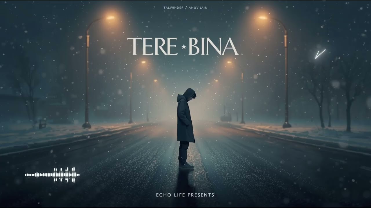 TERE BINA | MUSIC LO-FI