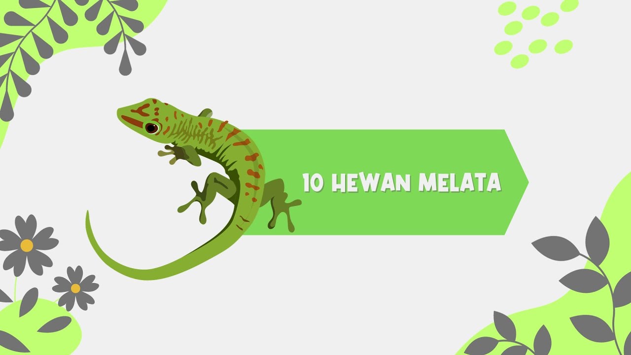 10 Jenis Hewan Melata