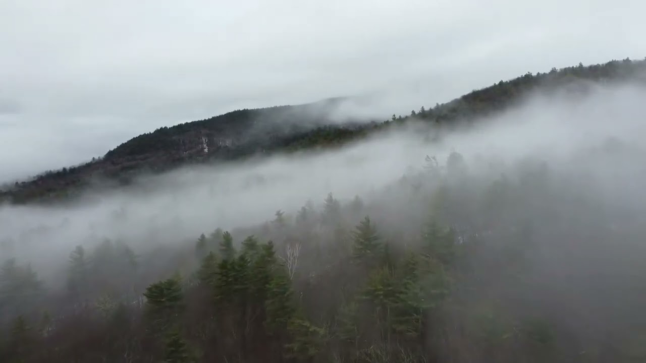 Mystical Fog Over a Dense Mountain Forest