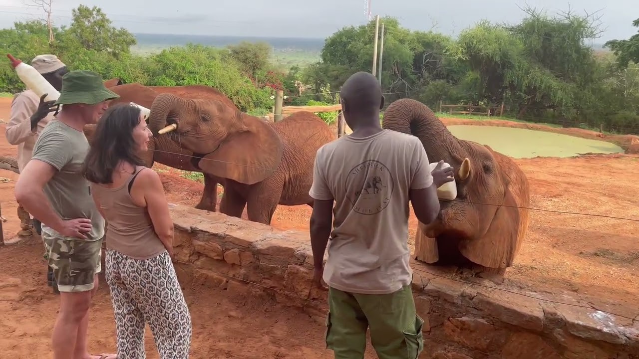 Visiting Voi Reintegration Unit of the Sheldrick Wildlife Trust 