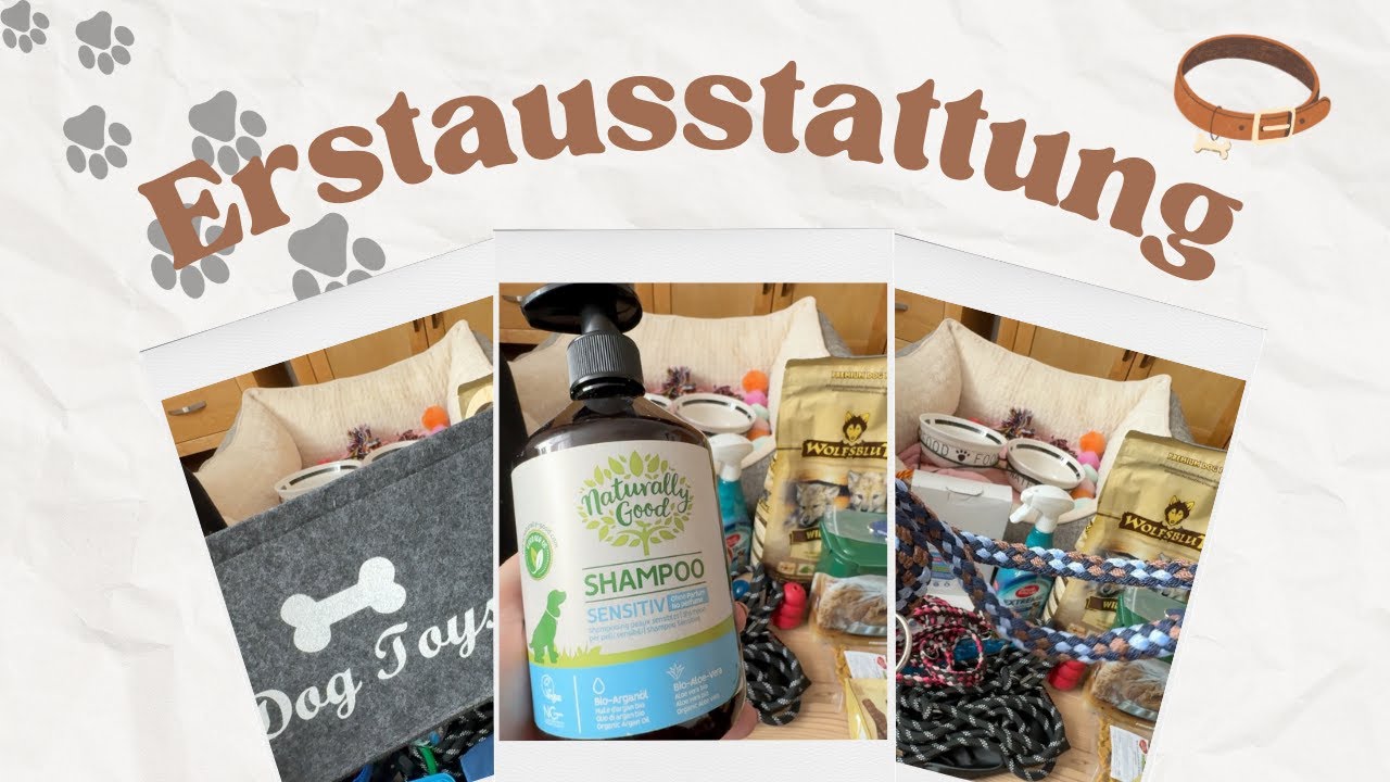 Erster eigener Hund ❤️ | Erstausstattung 🐶