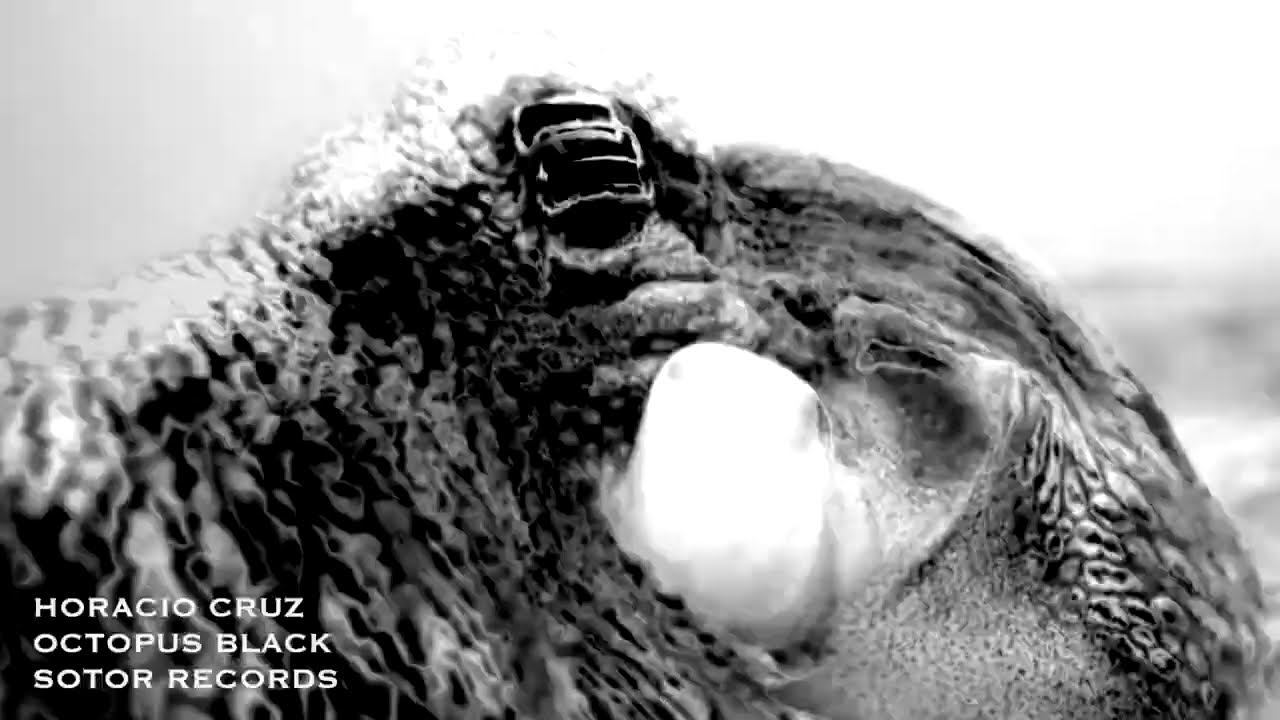 Horacio Cruz - Octopus Black [SOT04]
