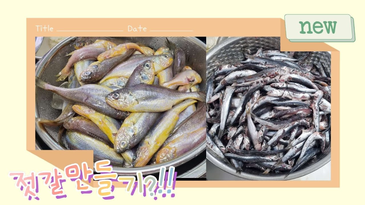[엄마레시피] 멸치젓갈,황석어젓갈 만들기