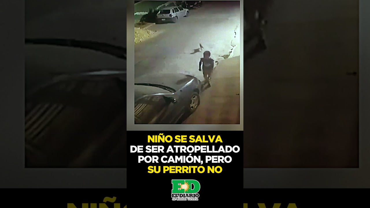 😱⭕ MILAGRO EN TUXTLA: NI&Ntilde;O ESQUIV&Oacute; CAMI&Oacute;N, PERO SU PERRITO NO