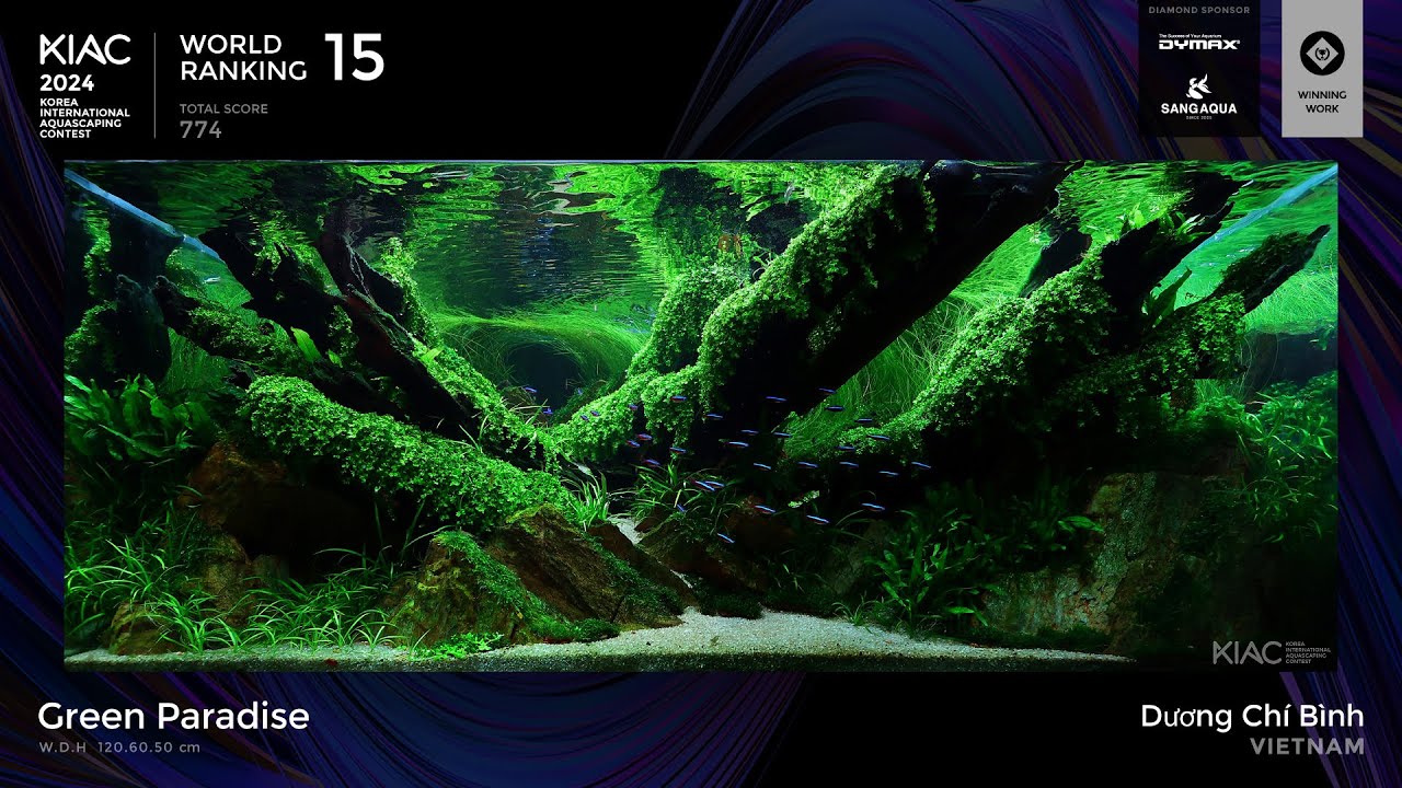 KIAC 2024 R#15 by Binh Duong Chi | 