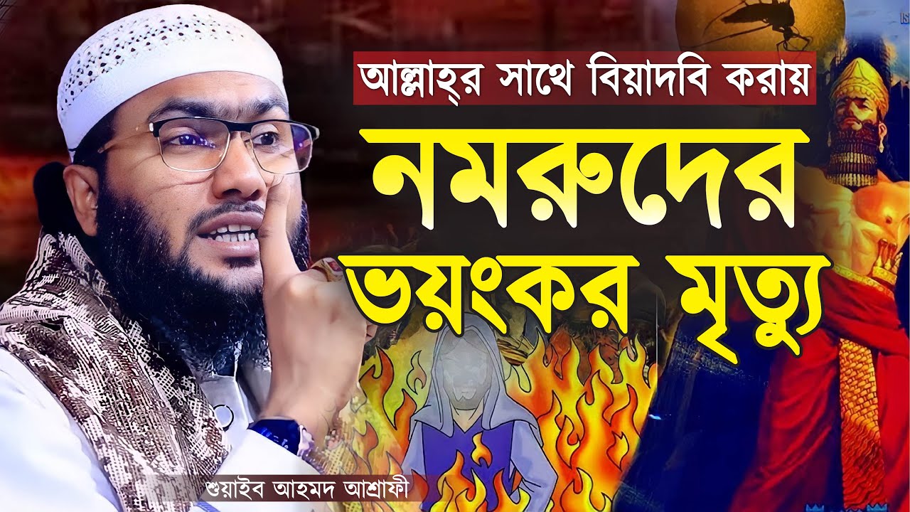 আল্লাহ্‌র সাথে বিয়াদবি করায় নমরুদের ভয়ংকর মৃত্যু || শুয়াইব আহমদ আশ্রাফী || Shuaib Ahmed Ashrafi